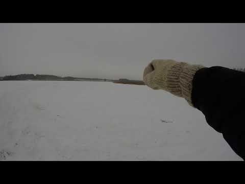 Видео: Вот какой наш Первомайский бассейн