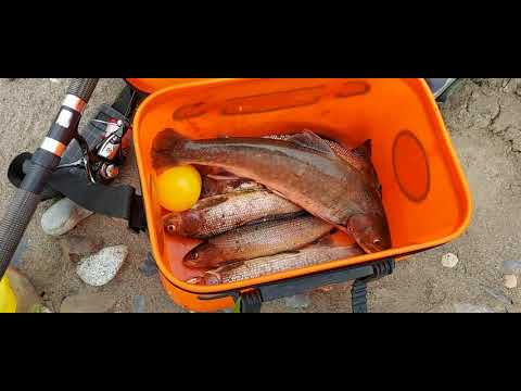 Видео: Рыбалка в Магаданской области!