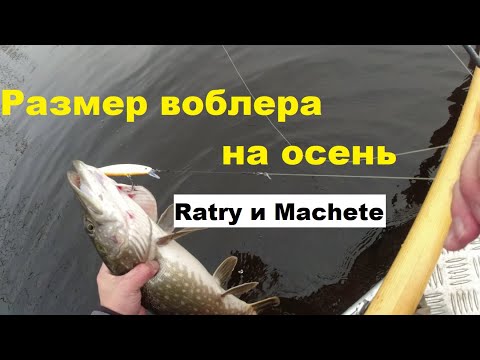 Видео: Размер воблера на осень.  Почему не атакует активная щука.  Ratry и Machete