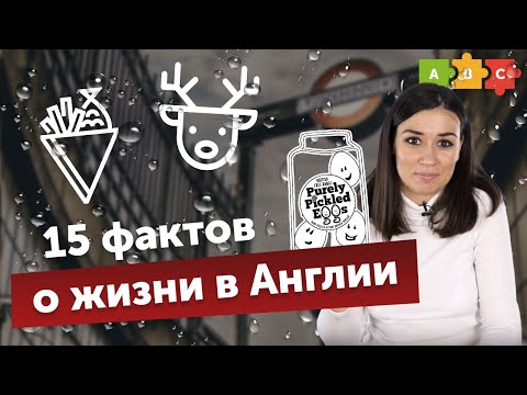 Видео: Факты о жизни в Англии или как Настя встретила оленя в Бирмингеме | Puzzle English
