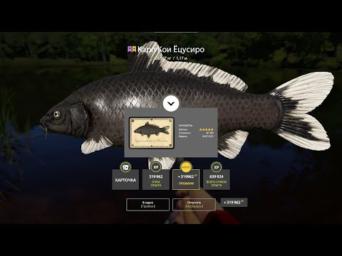 Видео: ИЩЕМ ФАРМ ТОЧКИ НА МЕДНОМ В НОРМ ТЕМПЕРАТУРУ В РУССКОЙ РЫБАЛКЕ 4 СТРИМ