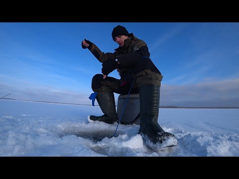 Видео: Рыбалка на Браславских озерах! Озеро Богинское!