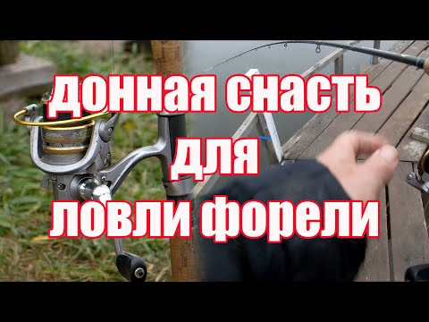 Видео: Донка для ловли форели.