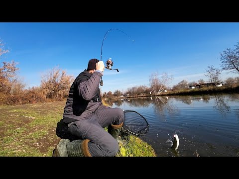 Видео: С клатушки на платен водоем за пъстърва. Area Fishing. Тест на нови примамки