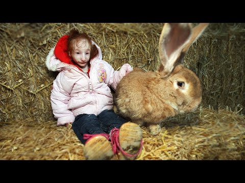 Видео: 10 Детей, Вероятность Рождения Которых Равна 1 на 1000000!