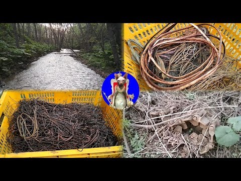 Видео: Медный ручей. Медь по-прежнему есть.