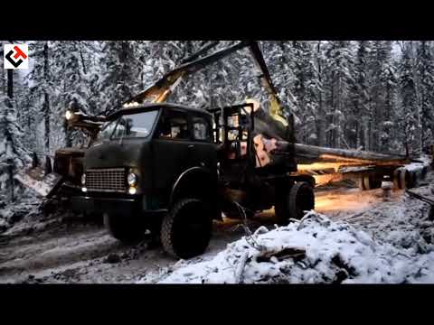 Видео: Как возили лес хлыстами в СССР; МАЗ роспуск