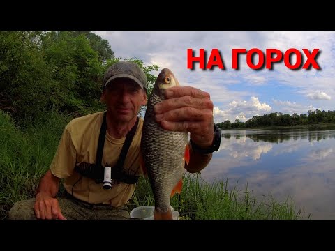 Видео: ПЛОТВА - ПРОСТО ОГОНЬ!  ДОНКА С ГОРОХОМ. ПИКЕР С ПШЕНИЦЕЙ.