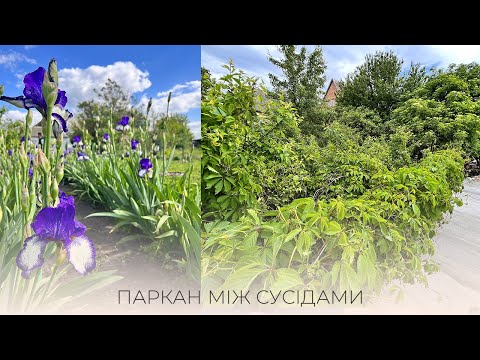 Видео: КВІТИ НА ДАЧІ, ХОЧЕМО ЗАГОРОДИТИСЬ ВІД СУСІДІВ, ЕКОНОМИМО ГРОШІ,НЕ ПО ПРОЕКТУ