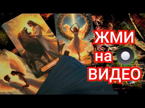 Видео: ☀️🌴ЧЕРЕЗ НЕСКОЛЬКО ЧАСОВ ТЕБЯ ЖДЁТ ХОРОШАЯ НОВОСТЬ #ТРЕНДЫ #ГАДАНИЕ