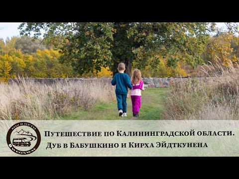 Видео: Путешествие по Калининградской области. Дуб в Бабушкино и Кирха Эйдткунена