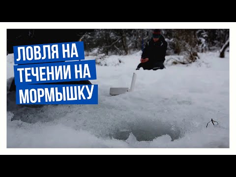 Видео: Ловля на течении на мормышку \ Подледный мир с Владимиром Солоповым