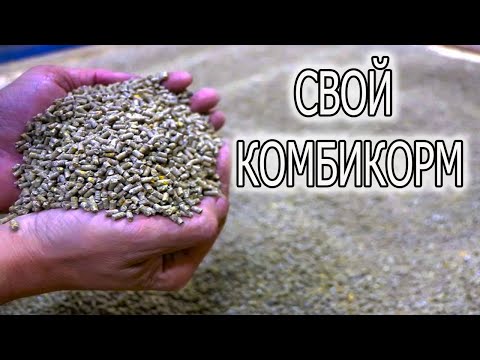 Видео: КАК СДЕЛАТЬ ДОМАШНИЙ КОМБИКОРМ ДЛЯ БРОЙЛЕРОВ. 42 ДНЯ ЭКСПЕРИМЕНТ !