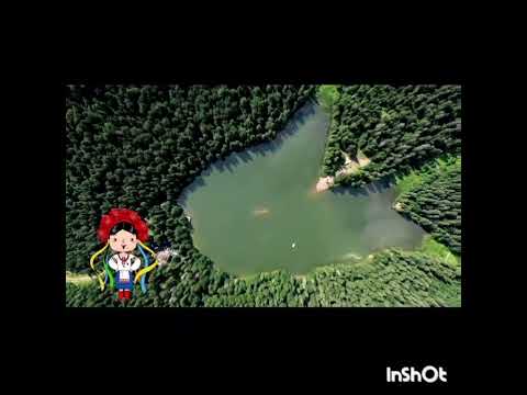 Видео: Екскурсія до озера Синевир (Закарпатська область)