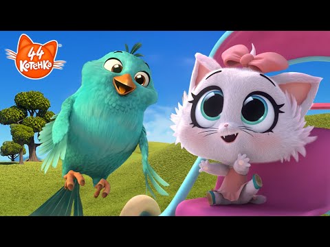 Видео: 44 Котёнка | Котёнок Хоуп преследует маленькую птичку и другие удивительные приключения!