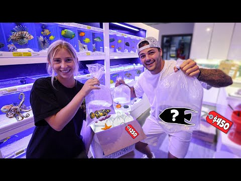 Видео: ШОППИНГ ДЛЯ МОЕГО СОЛЕНОГО АКВАРИУМА!! (Выбор девушки)