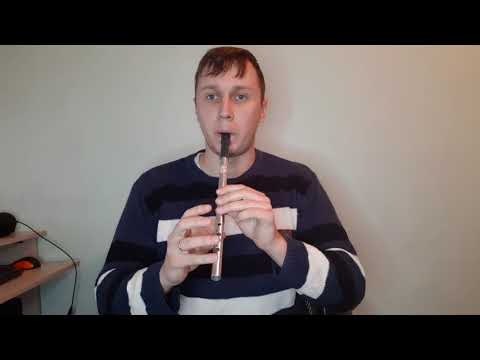 Видео: Учим гаммы на ирландской флейте(3 урок)