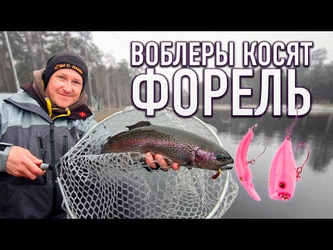 Видео: Воблеры косят форель! Ловля форели на платнике