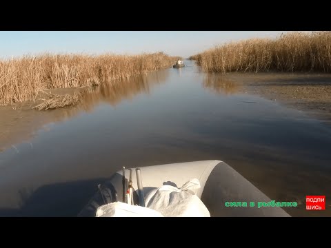 Видео: ЗАКРЫТИЕ ЛЕТНЕЙ РЫБАЛКИ 2023. КАРАСЬ НОЧЬЮ.