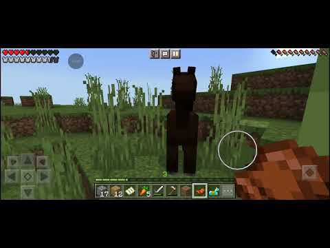 Видео: 1 часть 2 денй из 100 нашли клад чо