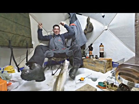 Видео: ОДИН НА ЛЬДУ.  рыбалка с ночёвкой. ЛЕСКА ТРЕЩИТ ОТ НАЛИМОВ