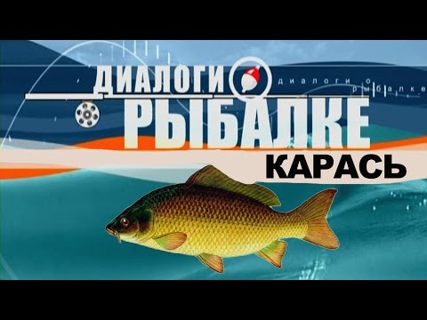 Видео: Диалоги о рыбалке - Ужение карася