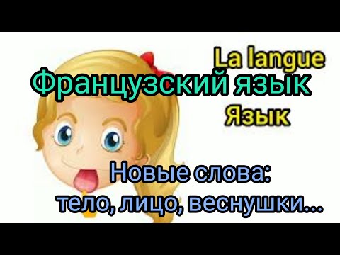Видео: Французский язык. Части тела и лицо. Новые слова. Легко с произношением. Смотри и запоминай.