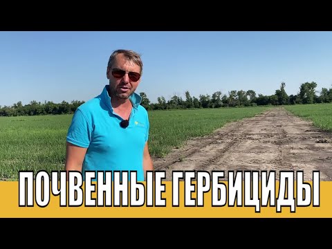 Видео: Лук на почвенных гербицидах