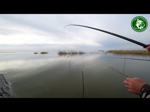 Видео: ДИКИЙ ЖОР КАРАСЯ НА ЭТОТ БУТЕРБРОД! ЭТО БЫЛО ЧТО-ТО! РЫБАЛКА С НОЧЕВКОЙ НА ПОПЛАВОЧКУ! УЕЛГИ РУЛЯТ!