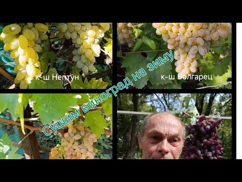 Видео: Как приготовить изюм в домашних условиях.