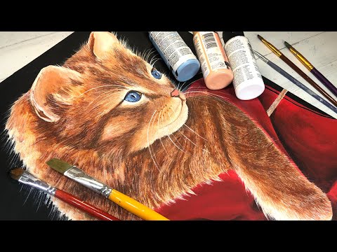 Видео: КАК ПОКРАСИТЬ КОШКУ, ДЕЙСТВУЮЩИЕ ШАГИ