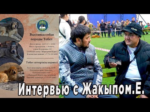 Видео: Выставка Тобетов. Интервью с Жакыпом.Есполаевым.