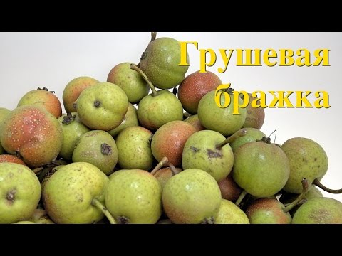 Видео: Грушевая бражка / рецепт браги /