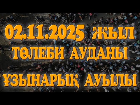 Видео: ТӨЛЕБИ АУДАНЫ ҰЗЫНАРЫҚ АУЫЛЫ ӘБДІРАМАНОВТАР ӘУЛЕТІ ОРЫНБАСАР МЫРЗА ЕЛДЕН БАТА АЛУ КӨКПАРЫ 02.11.2025