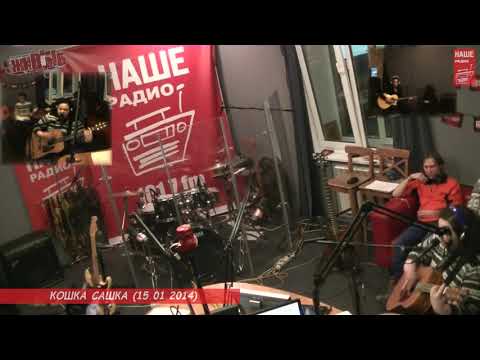 Видео: Кошка Сашка - "Враг"