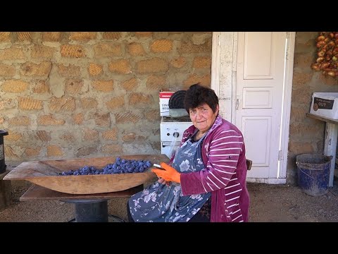 Видео: Սալորի Բերք էլ 《ՏՈՒՆ ՏՎԵՑԻՆՔ》Շամշադինի Համը - Шамшадин 