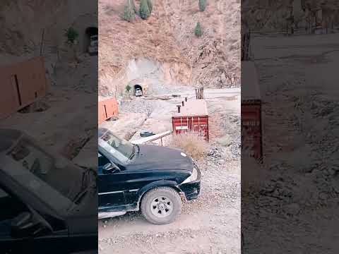 Видео: 23 августа 2025 г.