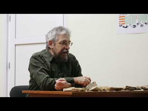 Видео: Ископаемые растения Самарской области Эко лекторий 2023-3 Дмитрий Варенов