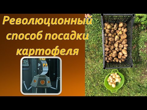 Видео: Как вырастить картофель в траве ? Без особых усилий. Практическое видео! Дачникам на заметку!