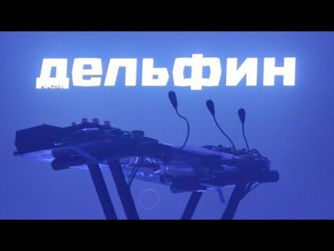 Видео: 🐬🎼 Дельфин Уфа 03.11.2024 @dolphin_music