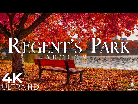Видео: Риджентс-парк осенью 4K — золотые листья и безмятежные прогулки в Лондоне