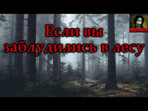 Видео: ЕСЛИ ВЫ ЗАБЛУДИЛИСЬ В ЛЕСУ. Страшные истории на ночь. Страшилки на ночь
