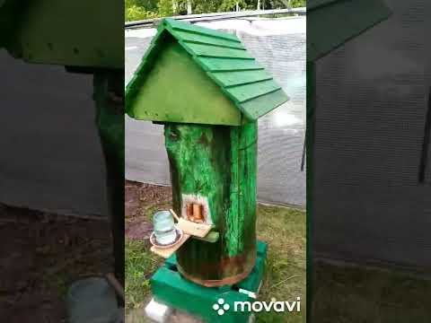 Видео: Колодное пчеловодство.Заселение новой семьи пчел в колоду.
