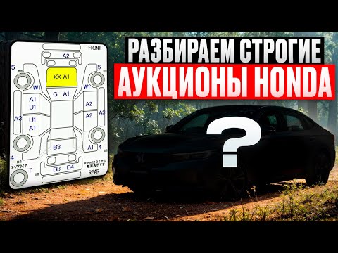 Видео: Аукционы Хонда, разбираем привоз авто из Японии, со строгих и не строгих аукционов, что купить