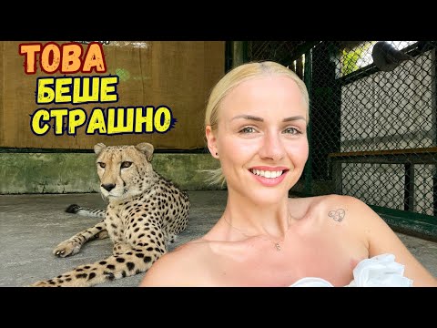 Видео: ВЛЯЗОХМЕ В КЛЕТКАТА НА ТИГЪРА 🐅 | Еп.5