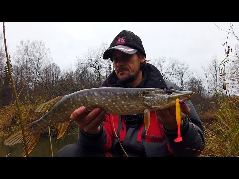 Видео: Равномерная проводка или ступенька? Что выбрать при ловле щуки на джиг осенью [Пора ловить щуку]