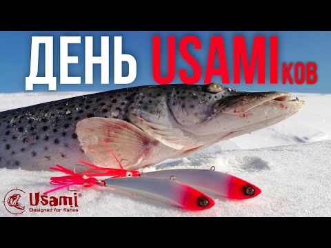 Видео: ЩУКИ грызут ратлины Usami. Зимняя рыбалка на щуку