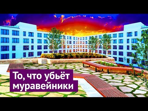 Видео: Новосибирск: могут, когда захотят