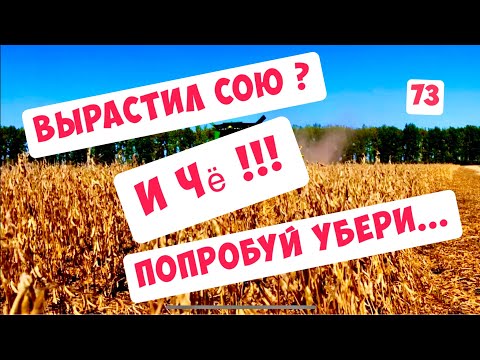 Видео: ПРОФЕССИОНАЛЬНАЯ УБОРКА СОИ ...