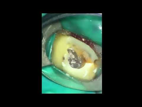 Видео: 2021-04-07 Шутка на 1 к апреля о переезде в Москву удалась